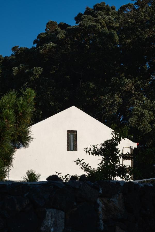 Entre Muros - Turismo Rural - Casa Com Jardim E Acesso Direto Ao Mar Ribeira Grande Exteriör bild